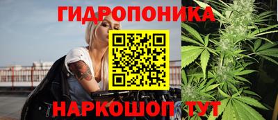 эйфоретик Гусь-Хрустальный