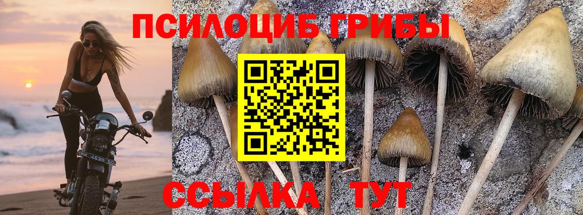 Галлюциногенные грибы Psilocybine cubensis  как найти   Медногорск  Вход с VPN  Галлюциногенные грибы Magic Shrooms 